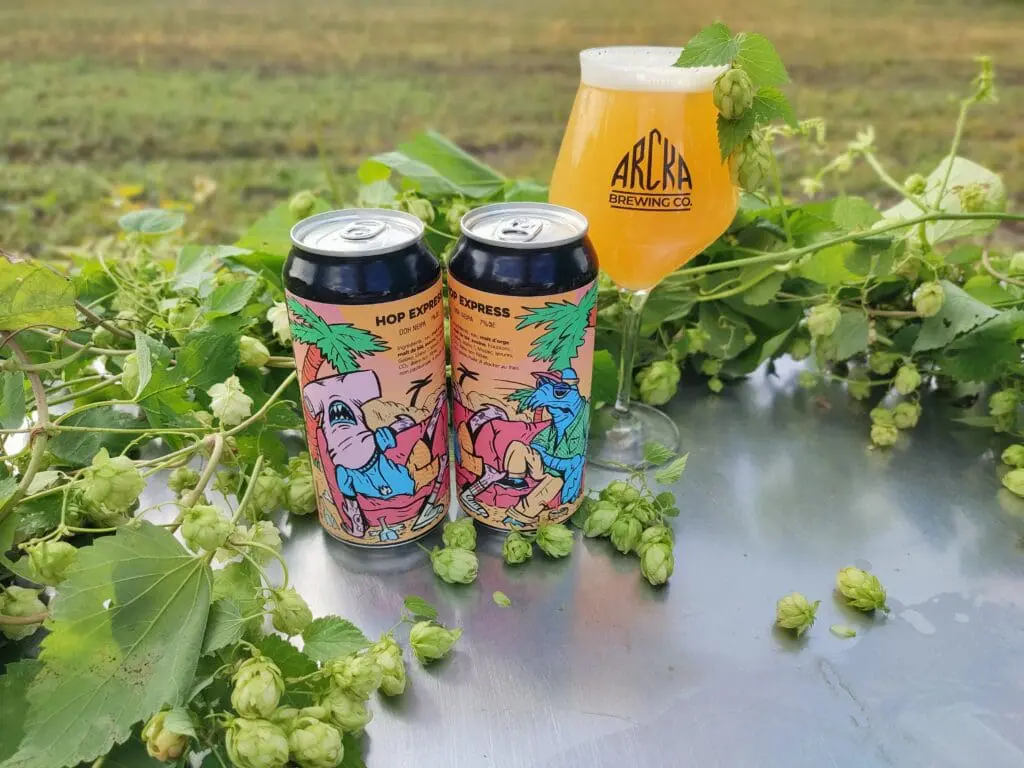 des canettes de bière dans un champ de houblon